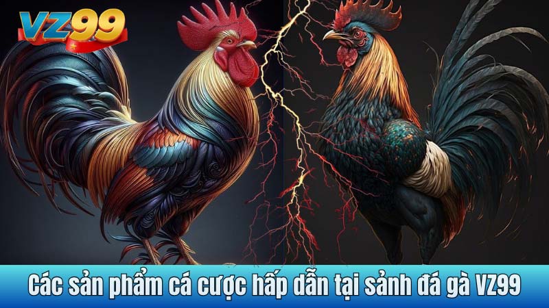 Các sản phẩm cá cược hấp dẫn tại sảnh đá gà VZ99