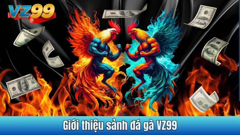Giới thiệu sảnh đá gà VZ99